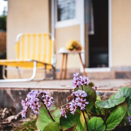 Apartmanhazak Miro Haz