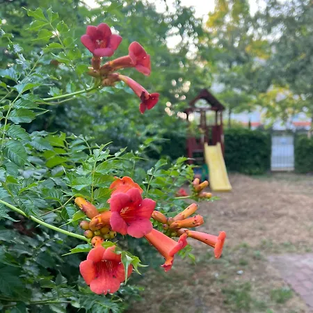 Appartamento Apartmanhazak Miro Haz Siófok