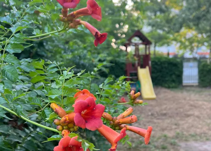 Apartament Apartmanhazak Miro Haz Siófok